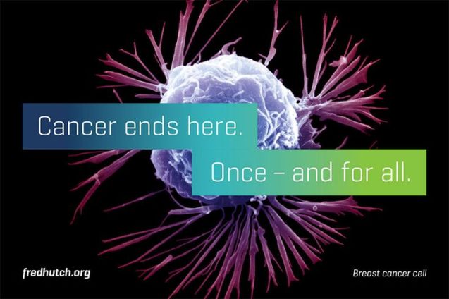 3c66476ba17ce1f42548e99f5811c85d