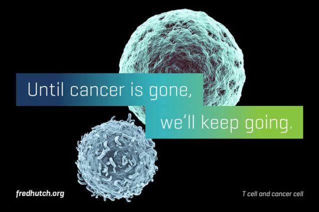 99af2c8e4bd98ecdcfb0570310e5fb17