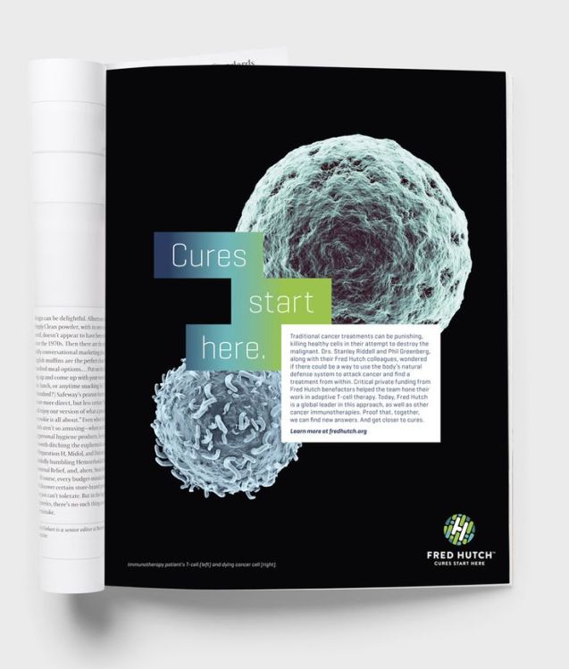 e6bebc2b37e5a7e82e5cd08568e01214