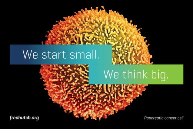 fc2ff49d1c215d403b571e6e736e24e4